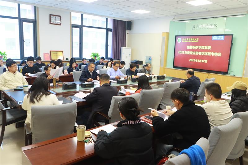 800探花系列
召开2025年度党支部书记述职评议会_3.13.jpg