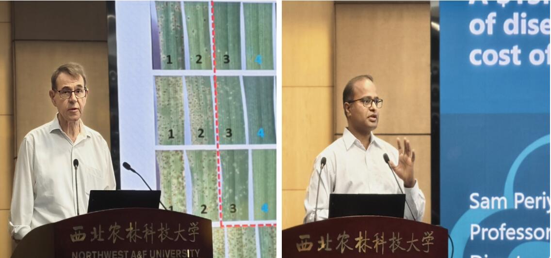 专家作学术报告拼图.jpg
