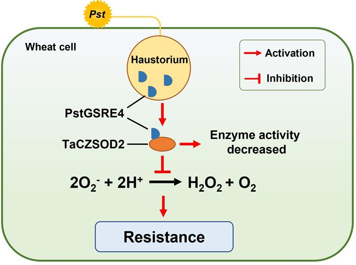 0d44eb686595424c88117f08fc85bdbe.jpg 图片2-700.jpg