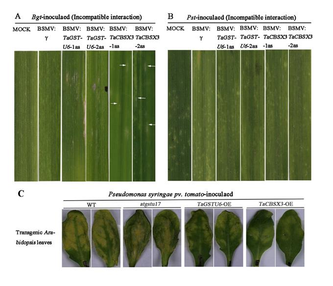 fac0a21c29a04a94a7aa1bd67cb8cca5.jpg 图片2-680.jpg