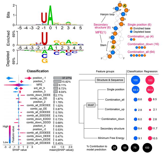 9c1ed75c2e3a4edda955acf6175b52e1.jpg 图片-700.jpg