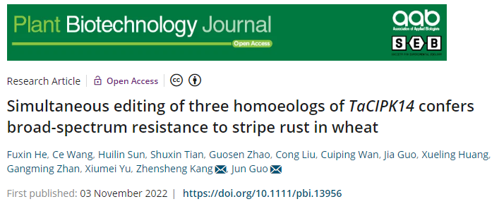 02139197414343ce868ffd5dc2786caa.png 论文标题探花系列图片.png