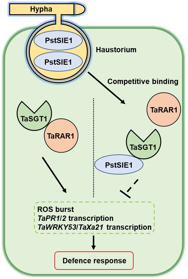 5836387275a4459b93219429288cd965.jpg 更新模式图JPG文件模式图-新20221109__看图王.jpg