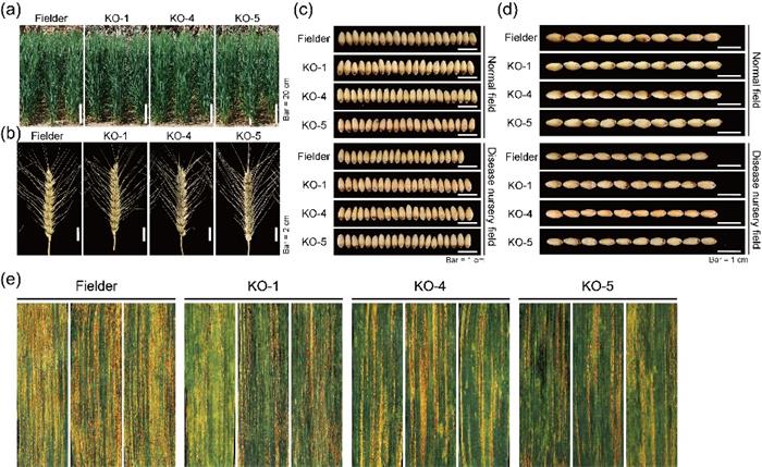 9737f259093e439a82bec794b42340cd.jpg 图片2-700.jpg