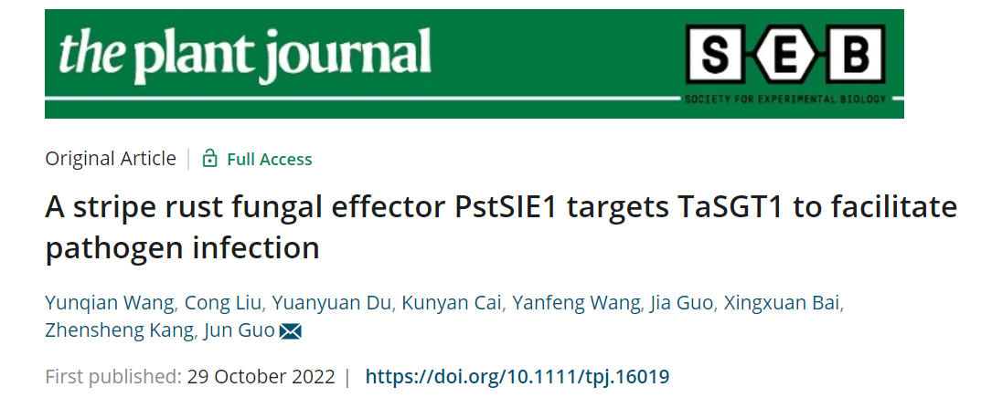 9f65ae3c7fdd4b78b7609d45d56c8de5.png 论文标题探花系列图片.png